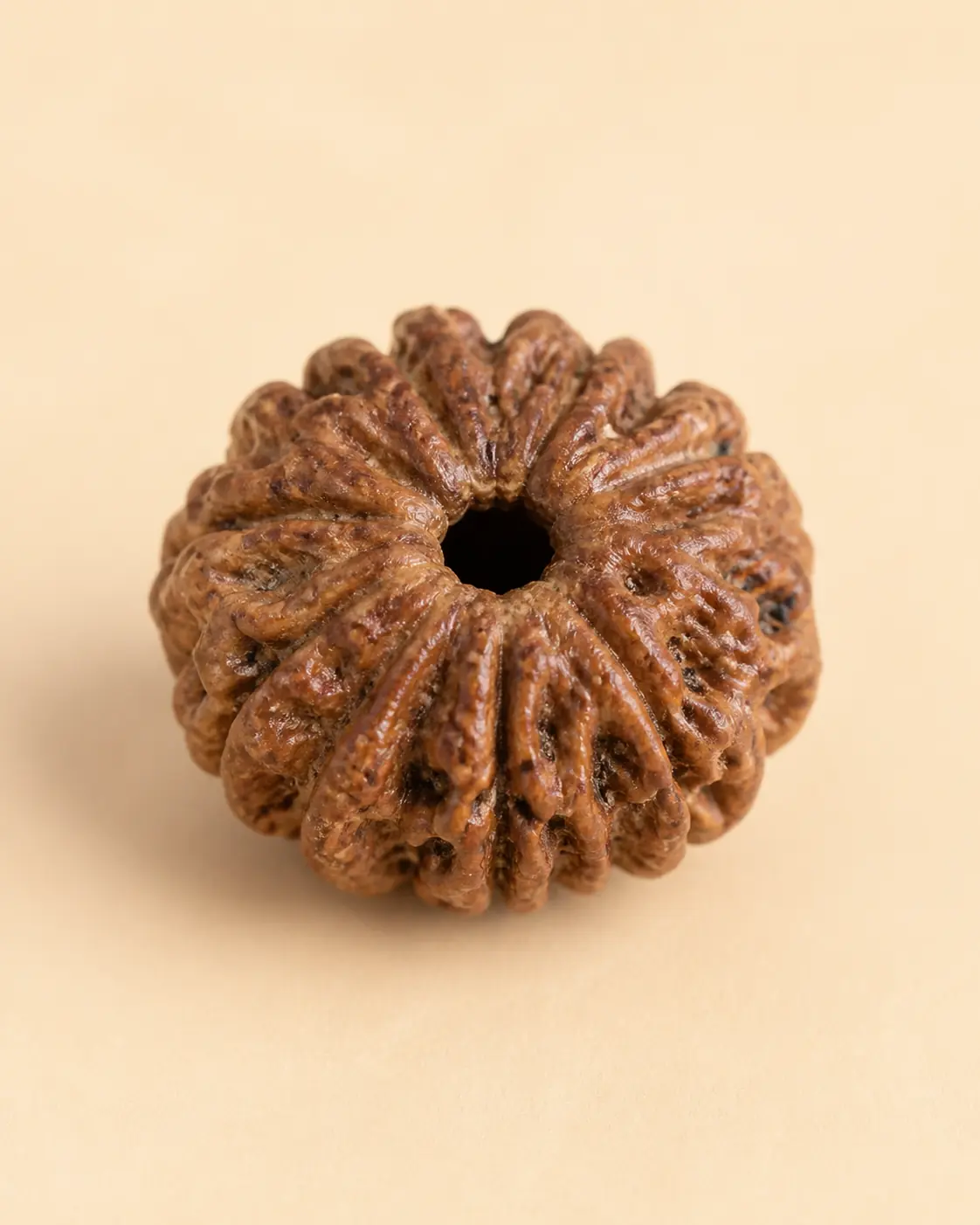 12 Mukhi Rudraksha product-only view 1
