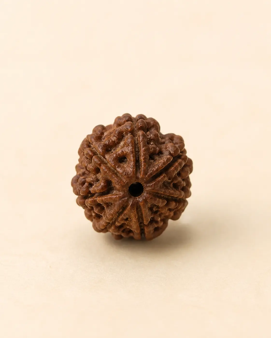 8 Mukhi Rudraksha product-only view 1