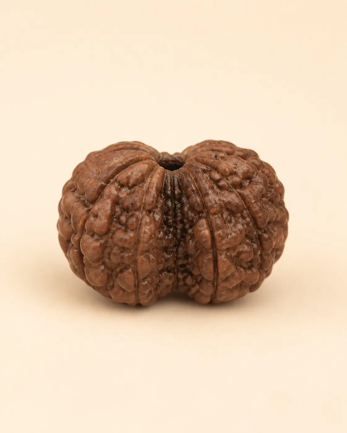 Gauri Shankar Rudraksha product-only view 1