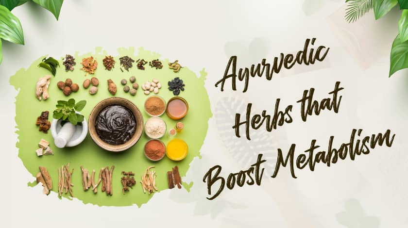 Ayurvedic Herbs to Boost Metabolism