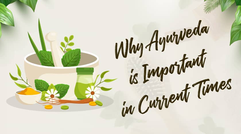 Ayurveda Importance Daily Life